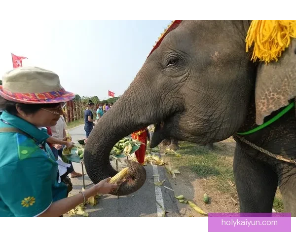泰国队大象标志在新赛季中展现出强大的竞争力，备受关注